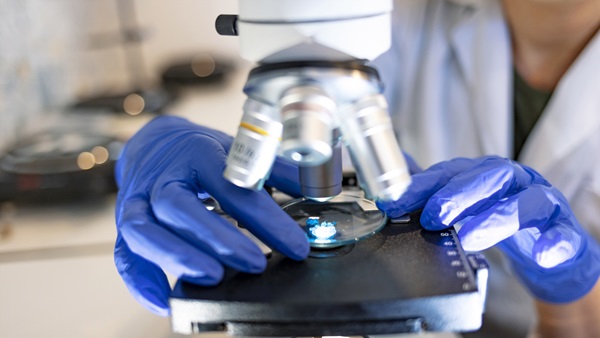 Observer les nanoparticules au microscope